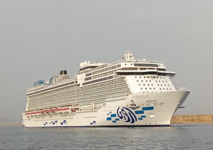 MSC وONE تقودان الطفرة في سعة التبريد بأساطيل الحاويات العالمية