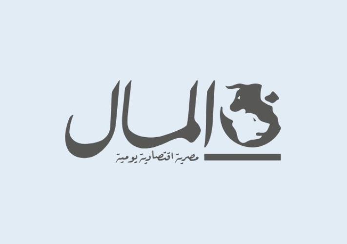 اللواء أحمد عبد الخالق بدوي رئيساً تنفيذياً لشركة بورسعيد لتداول الحاويات خلفاً لطارق شاهين